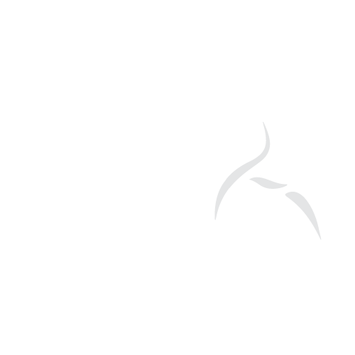Vibo-solutions