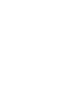 Logotipo-Final-SANASANA